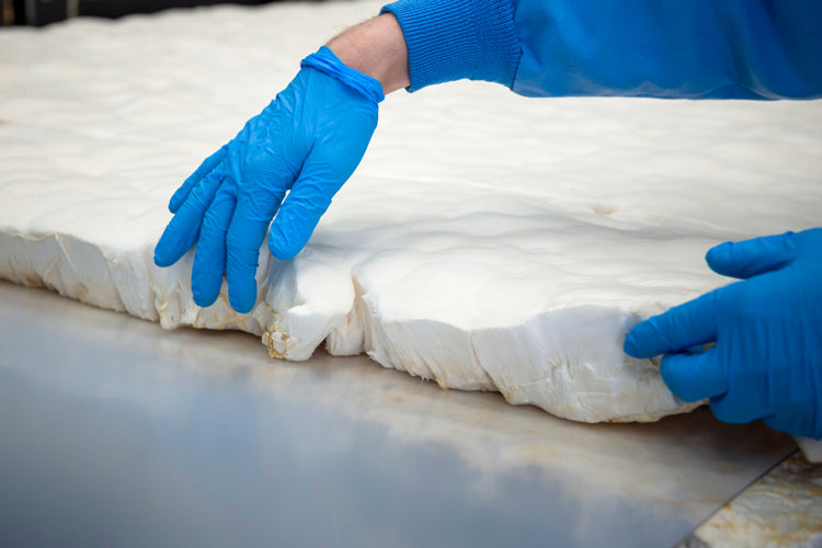 Pangaia, Vivobarefoot, Ecovative to research mycelium in fashion