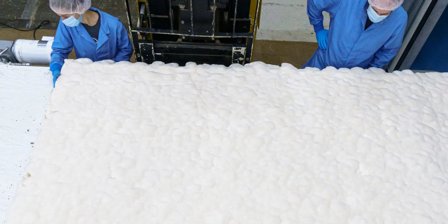 Ecovative is making mycelium leather accessible for Calvin Klein, Tommy Hilfiger