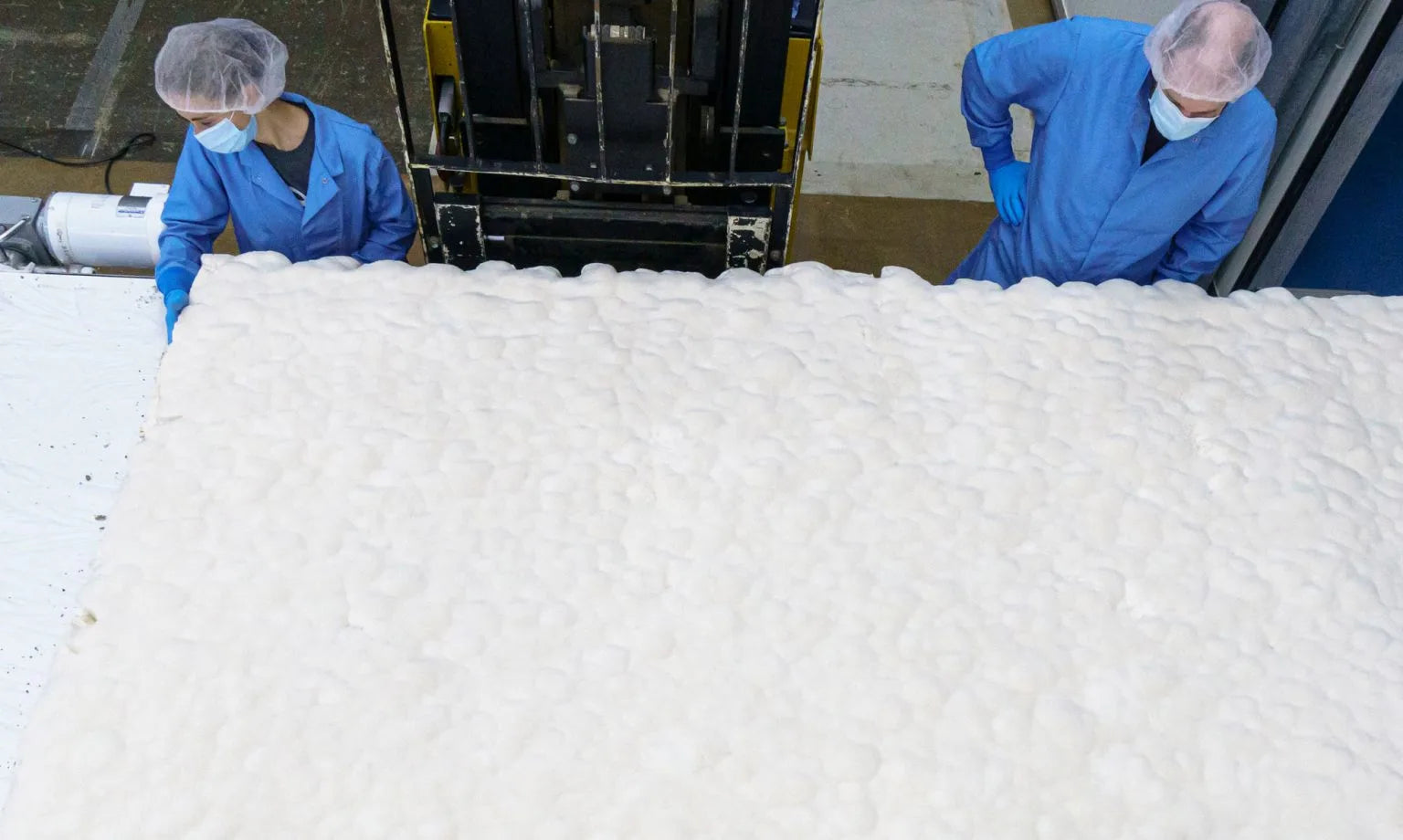 Ecovative is making mycelium leather accessible for Calvin Klein, Tommy Hilfiger