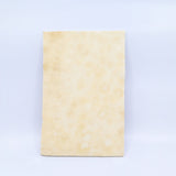 Forager™ Foam Sample Box (6 Pieces)