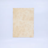 Forager™ Foam Sample Box (6 Pieces)