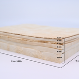 Forager™ Foam Sample Box (6 Pieces)