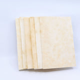 Forager™ Foam Sample Box (6 Pieces)